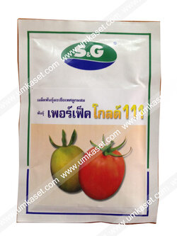 มะเขือเทศ เพอร์เฟคโกลด์ 111