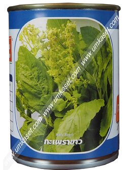 กะเพราขาว ตราลูกโลก