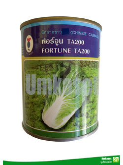 ผักกาดขาวปลี ฟอร์จูน TA200 ตราเพื่อนเกษตรกร