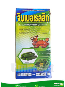 กรดจิบเบอเรลลิก (ขนาด 100 ซีซี , 500 ซีซี ) ตราเต่ามังกรทอง สารควบคุมการเจริญเติบโตของพืช