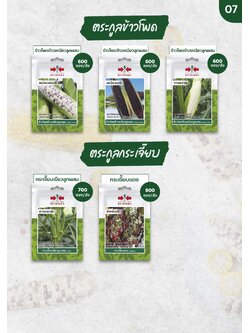 ผักซอง ศรแดง 30บ ตระกูลข้าวโพด และ กระเจี๊ยบ