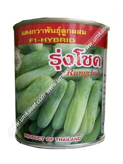 แตงกวารุ่งโขค