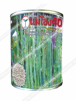 ถั่วฝักยาว แม่โขง40