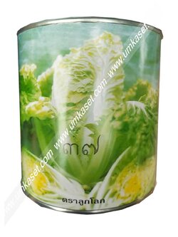 ผักกาดขาว กาบอ่อน37 ตราลูกโลก 400 กรัม
