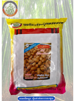 ถั่วลิสง ถั่วดินกบินนทร์ ตราต้นไผ่