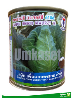 กะหล่ำปลี นิวเจอร์ซี่ 6106 20 กรัม