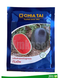 แตงโม ทัมอัพ เจียไต๋ 40 กรัม