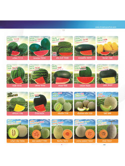 ผักซอง ตราเพื่อนเกษตรกร ชุดที่1