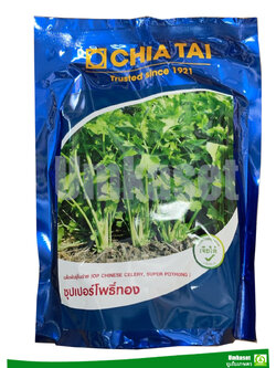 คื่นฉ่าย ซุปเปอร์โพธิ์ทอง เจียไต๋