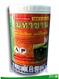 เมทาซาน เชื้อรา เมตาไรเซียม อะนิโซเพล (Metarhizium anisopliae) ขนาด 500 กรัม/ แอปพลายเค็ม