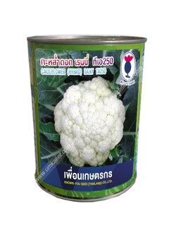 กะหล่ำดอก เรนนี่ TA250 เพื่อนเกษตรกร