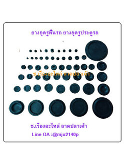 ยางอุดรูพื้นรถ จุกยางอุดรู ยางปิดรูประตูรถ ลูกยางอุดร้อยสาย