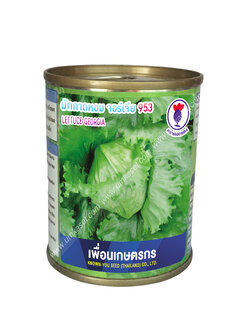 ผักกาดหอม จอร์เจีย 953