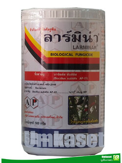 ลาร์มิน่า เชื้อบาซิลัสซับทีลิส ชีวภัณฑ์กำจัดโรค( 50กรัม,500กรัม,1กิโล )/ แอปพลายเค็ม