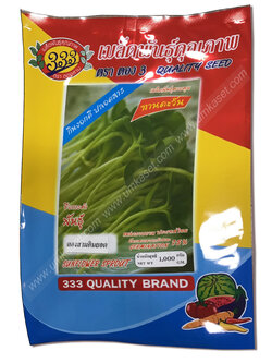 เมล็ดพันธุ์ทานตะวัน กินยอด เมล็ดดำ ตองสาม 1 กิโล