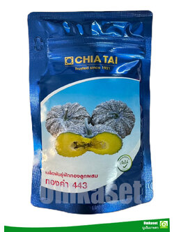 ฟักทอง ทองคำ443 เจียไต๋ 100 กรัม