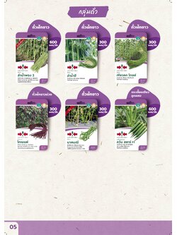 ผักซอง ศรแดง 30 บ กลุ่มถั่ว