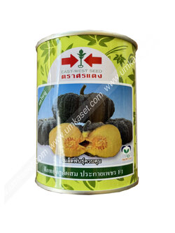 ฟักทองลูกใหญ่ ประกายเพชร ศรแดง 100 กรัม