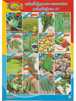 ผักซอง ตองสาม OP 193-208