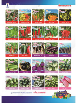 ผักซอง ตราเพื่อนเกษตรกร ชุดที่4