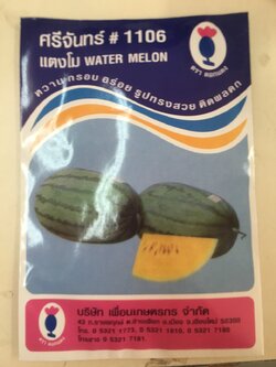 แตงโมหลือง ศรีจันทร์ 1106 20 กรัม