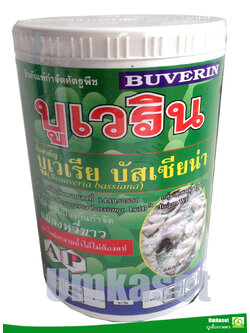บูเวริน บูเวเรีย บัสเซียน่า ( 500 กรัม , 1กก) เชื้อราป้องกันกำจัดแมลงศัตรูพืช/ แอปพลายเค็ม
