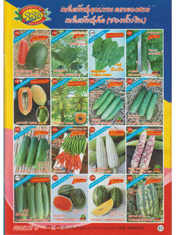 ผักซอง ตองสาม F1 1/65 - 1/80