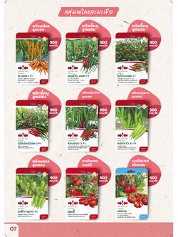 ผักซอง ศรแดง 30 บ กลุ่มพริกและมะเขือ1