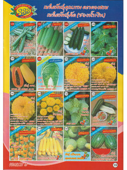 ผักซอง ตองสามF1 1/33 - 1/48