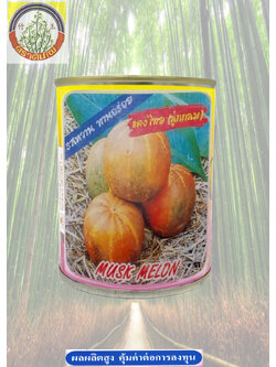 แตงไทย ลูกกลม ตราต้นไผ่