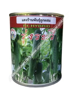 แตงร้านรุ่งระวี