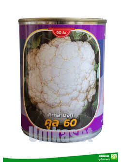 กะหล่ำดอก คูล60 ตราลูกโลก