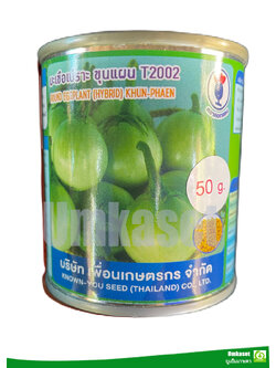 มะเขือเปราะลูกผสม ขุนแผน T2002