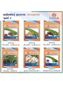 ผักซอง จุยเจีย ชุดที่ 7
