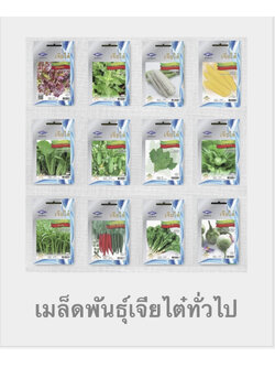 ผักซองเจียไต๋ OP 10 บ