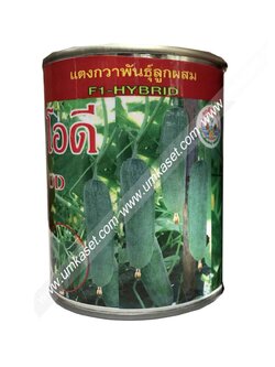 แตงกวาลูกผสม โอดี