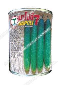 แตงร้านนาโปลี 7