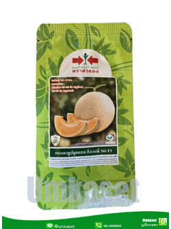 แคนตาลูปลูกผสม ศิลามณี 546 ตราศรแดง (20 กรัม)