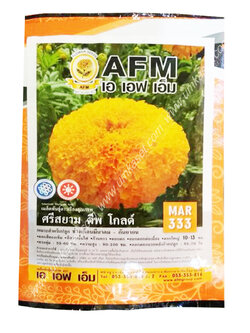 ดาวเรือง ศรีสยาม ดีฟโกลด์_MAR333