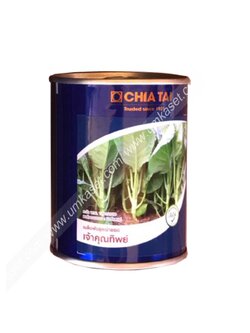 คะน้ายอด เจ้าคุณทิพย์ เจียไต๋