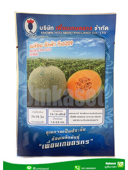 เมล่อน อัลฟ่า TA209 เพื่อนเกษตรกร 20 กรัม