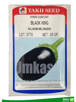 มะเขือม่วง แบล้กคิง (BLACK KING) TAKII SEED ( 20 กรัม )