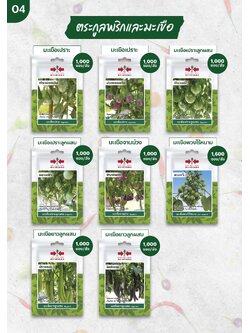 ผักซอง ศรแดง 30บ ตระกูลพริกและมะเขือ2