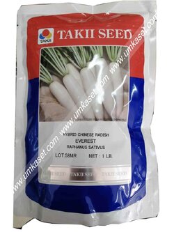 ผักกาดหัวเอเวอร์เรส