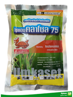 ไซแอมคลาโซล75 ไตรไซคลาโซล WP 100g. โรคใบไหม้ในข้าว ทุเรียนใบไหม้ โรคใบไหม้ ขอบใบไหม้ ปลายใบไม้ ใบเหลืองจากเชื้อรา /ตราเต่ามังกร