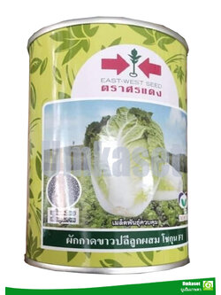 ผักกาดขาวปลีลูกผสม โชกุน F1 ตราศรแดง ( 100 กรัม )