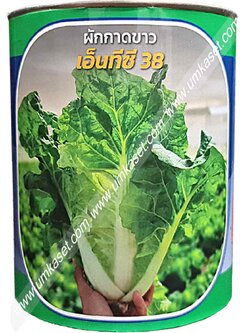 ผักกาดขาว เอ็นทีซี38 400 กรัม