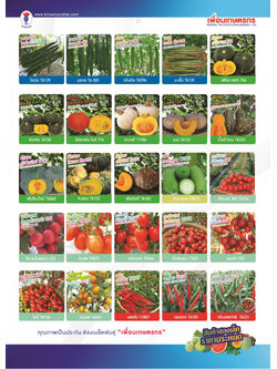 ผักซอง ตราเพื่อนเกษตรกร ชุดที่3