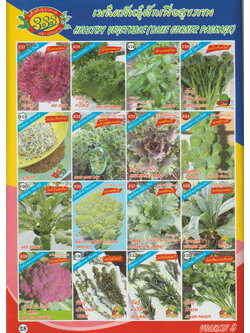 เมล็ดผักสุขภาพ ตองสาม 3/17 - 3/32