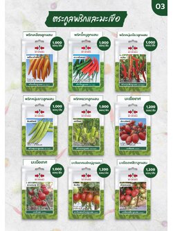 ผักซอง ศรแดง 30บ ตระกูลพริกและมะเขือ1